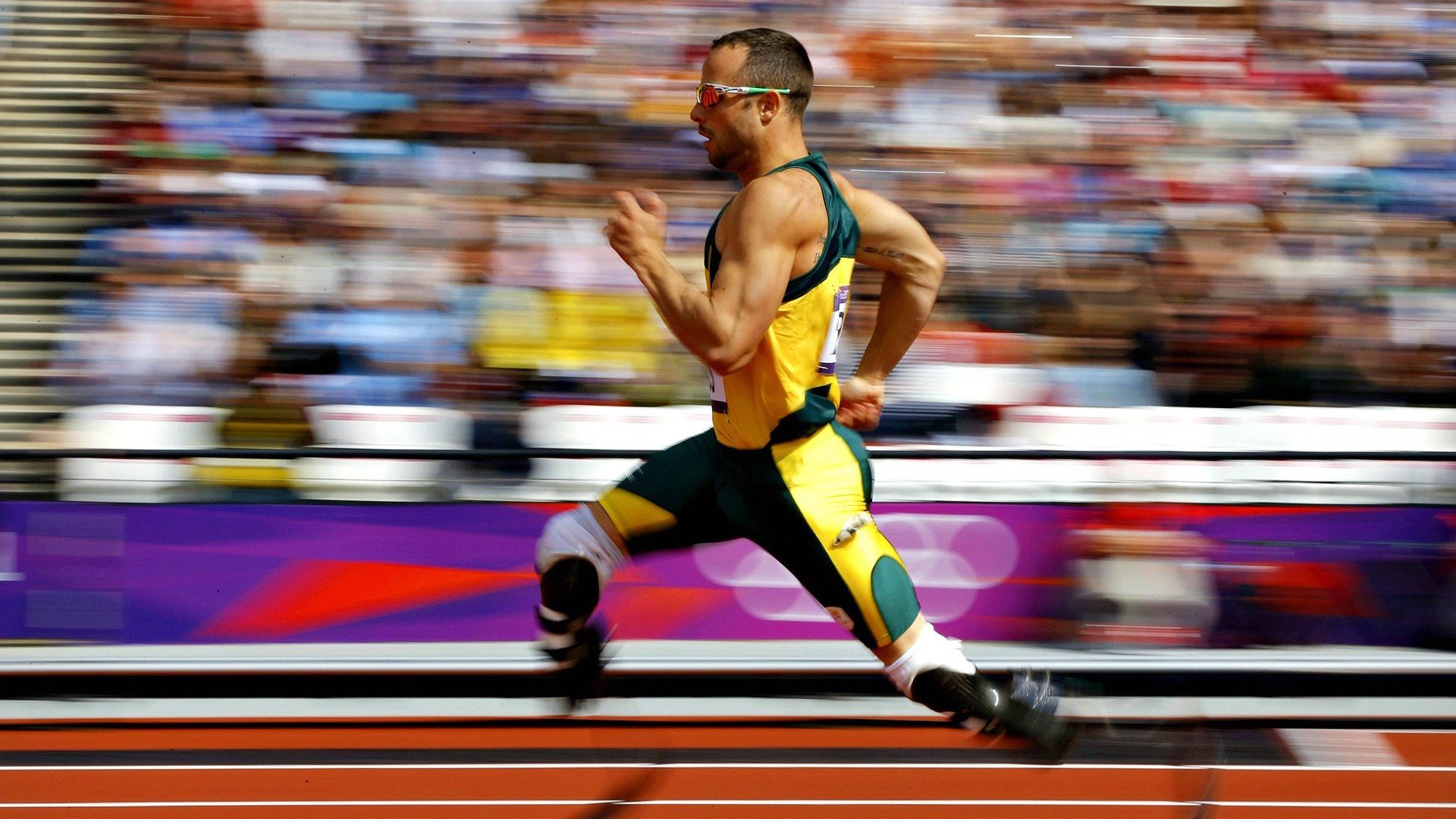 开云权威入口-_球迷狂欢节：现场互动、签名会热情高涨_，球迷的疯狂举动